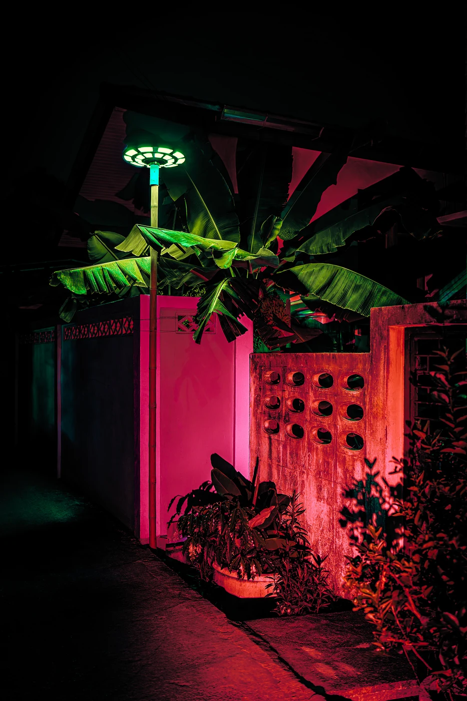 Bananier aux feuilles éclairées en vert au-dessus d’un mur rose vif et d’un claustra de béton, un lampadaire en forme de disque au-dessus.