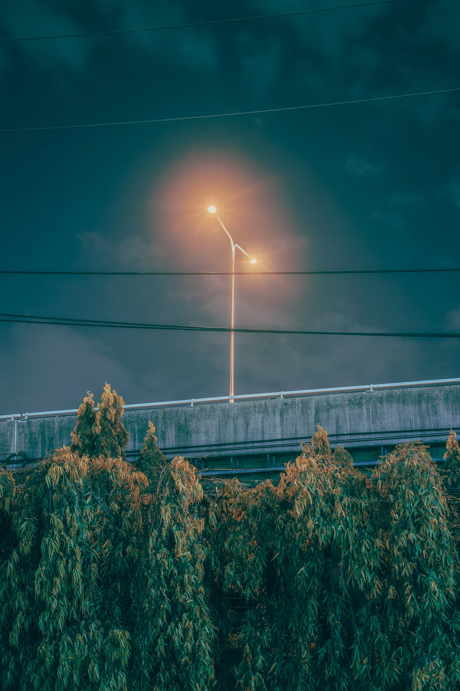 Streetlight with a large warm halo above an elevated expressway barrier at night, power lines and trees below.