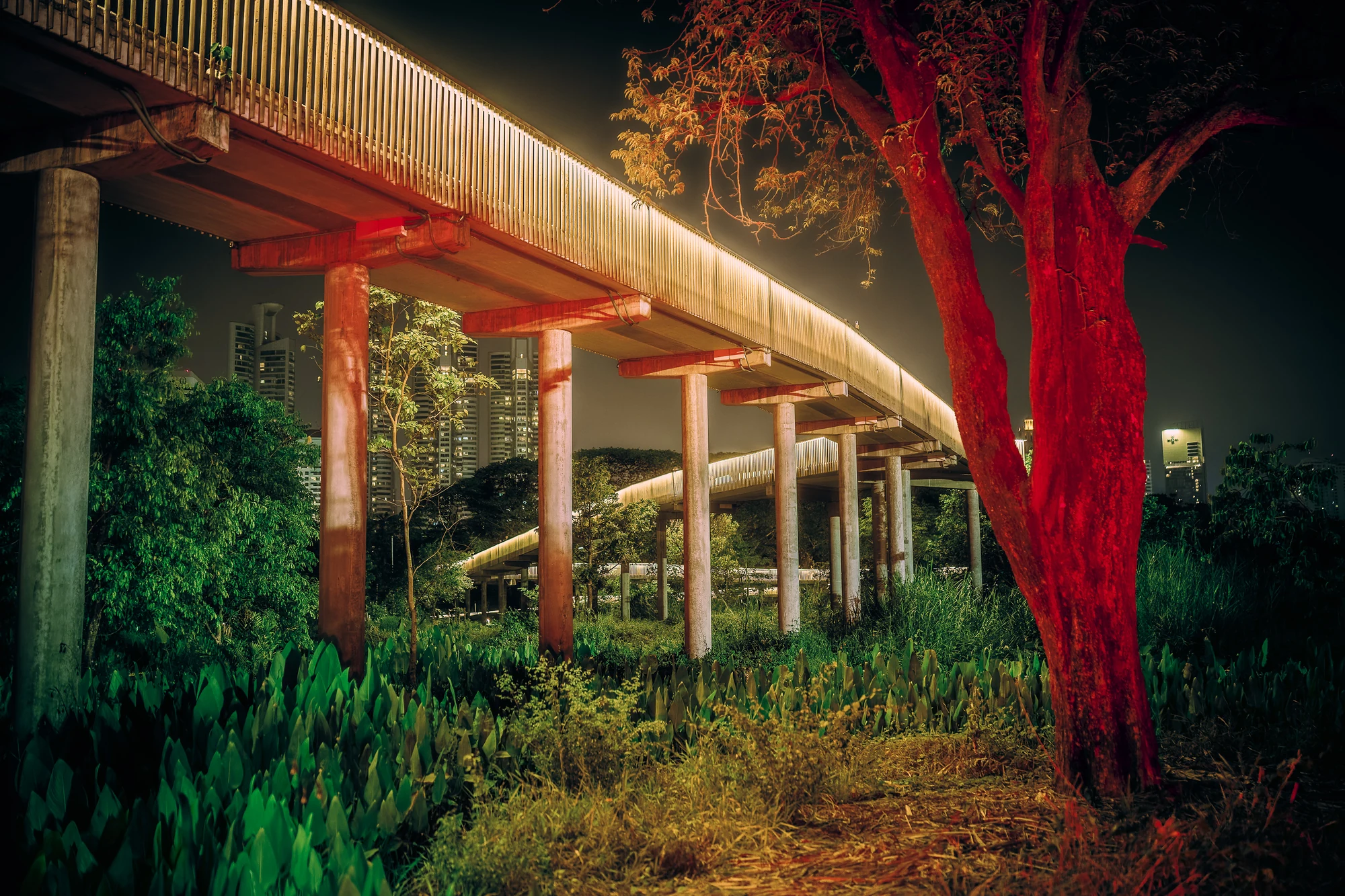 Arbre au tronc éclairé en rouge à côté d’une longue passerelle sur pilotis traversant un parc la nuit, des tours en arrière-plan.