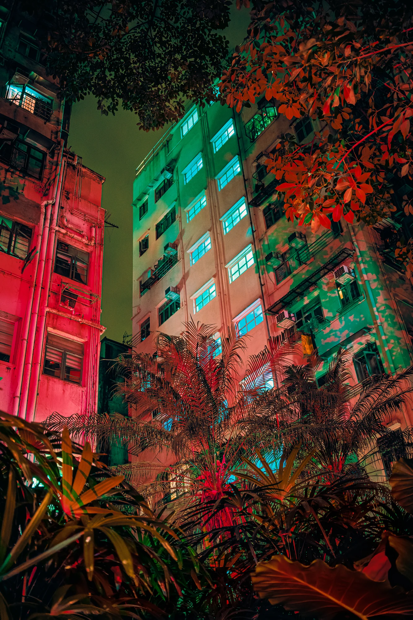 Plantes tropicales et palmiers sous de vieux immeubles éclairés en rose, vert et cyan la nuit, feuilles rouges au-dessus.