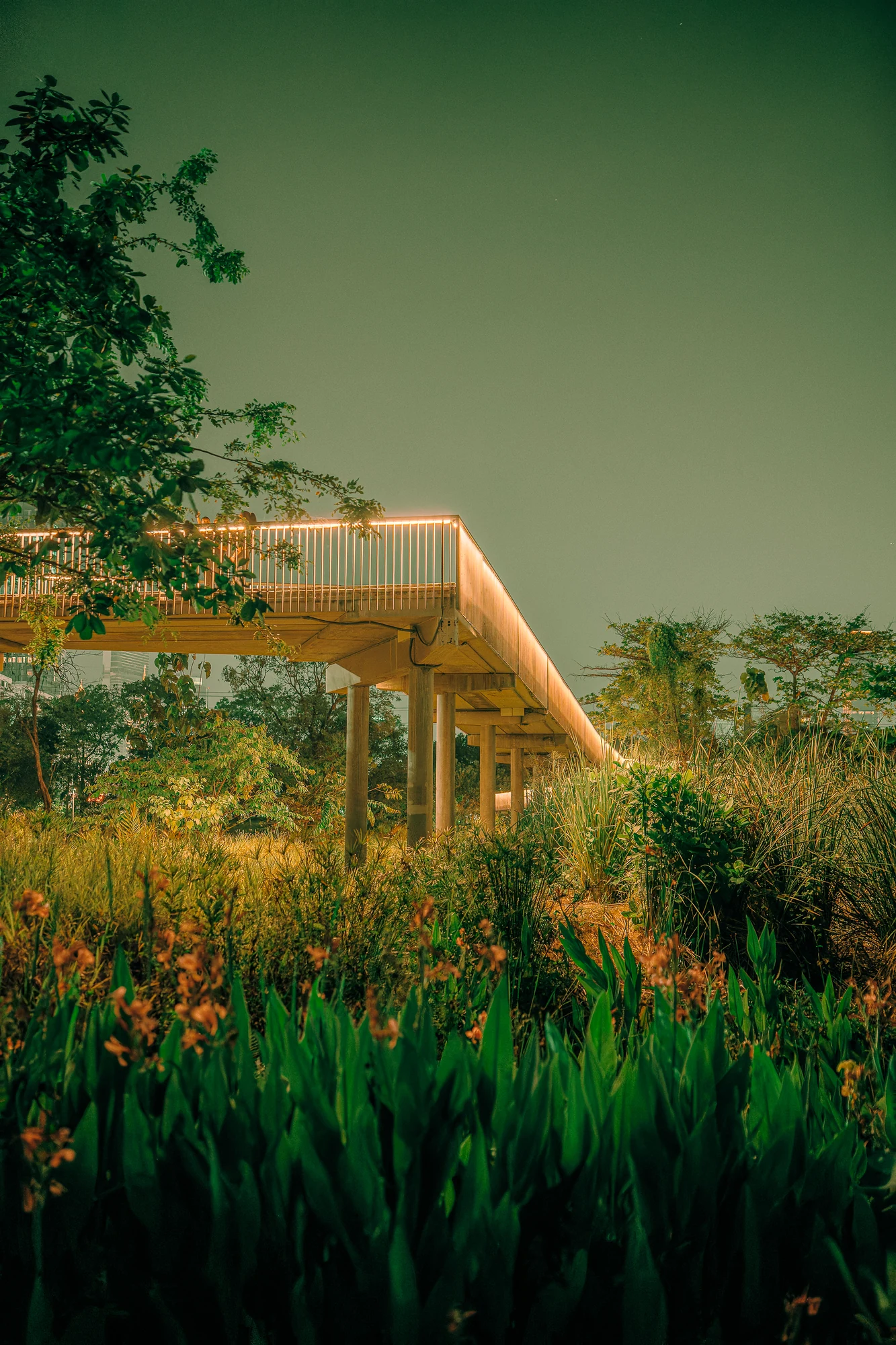 Elevated walkway with a glowing railing turning above wetland plants and orange flowers under a green night sky.