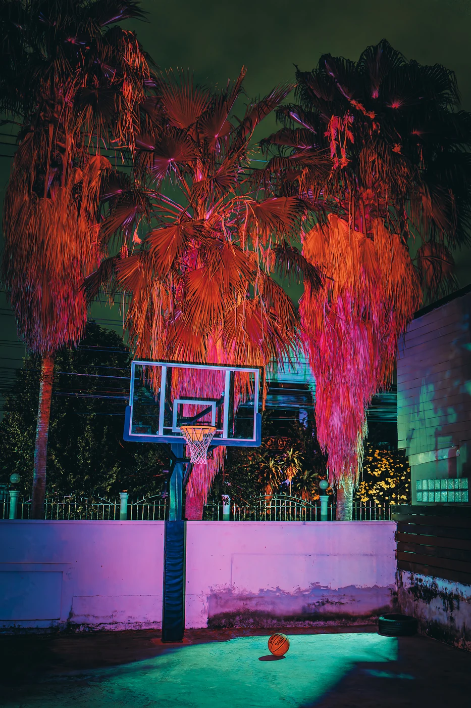 Panier de basket dans une petite cour sous des palmiers ébouriffés éclairés en orange et rose la nuit, un ballon sur le béton cyan.